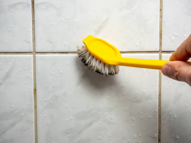 Best Kitchen Mold Remediation in Merrifield, VA