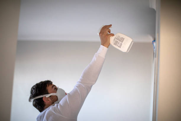 Best Preventive Mold Services in Merrifield, VA