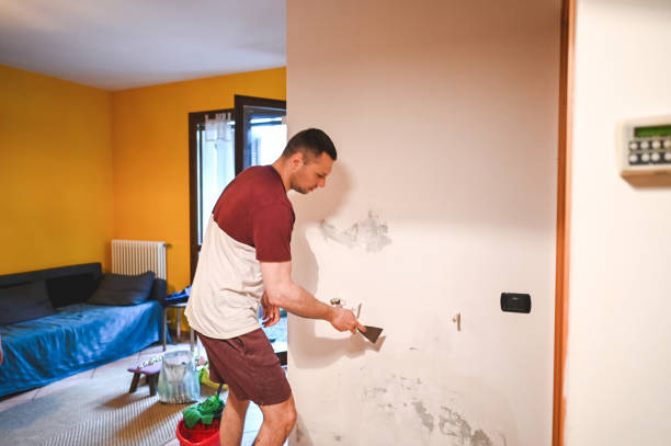 Best Basement Mold Remediation in Merrifield, VA